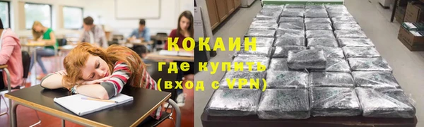 ECSTASY Новозыбков