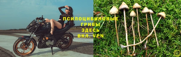ECSTASY Новозыбков