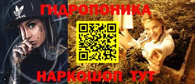 стафф Пушкино